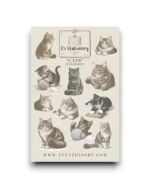 Stickervel - Katten