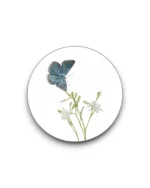 Sluitsticker los - Bleek blauwtje vlinder