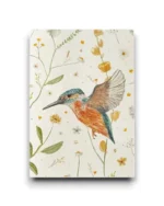 A6 ansichtkaart - IJsvogel