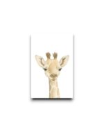 Minikaartje - Giraffe