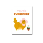 A6 Ansichtkaart - Youre purrfuct cat