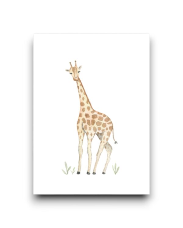 A6 Ansichtkaart - Giraffe