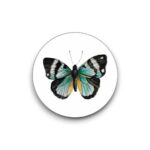 Sluitsticker - Turquoise vlinder