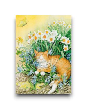 A6 Ansichtkaart - Kat tussen de narcissen