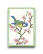 A6 Ansichtkaart - Blue tit