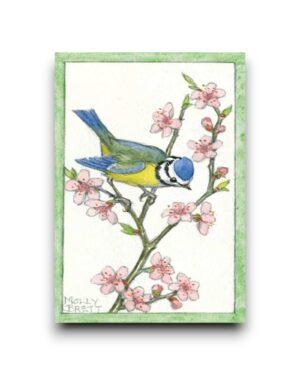 A6 Ansichtkaart - Blue tit