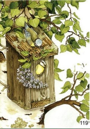 A6 Ansichtkaart - Vogeltjes in vogelnhuisje