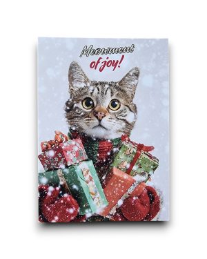 A6 Ansichtkaart - Meowment of joy