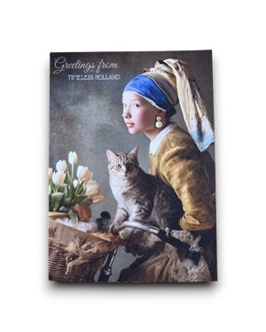 A6 Ansichtkaart - Bycicle girl with cat