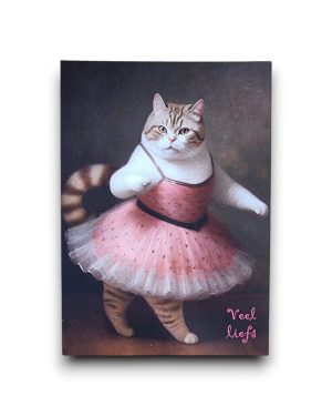 A6 Ansichtkaart - Veel Liefs